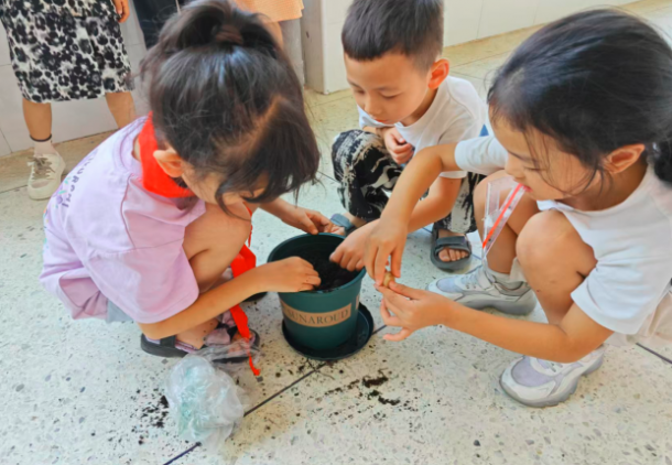 С����ֲ �ջ�ɳ���ϲ��