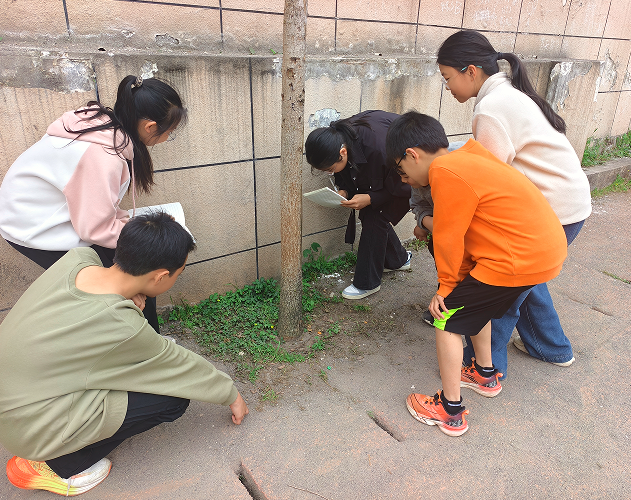 1778494724365888.png QQ_1778494699380.png