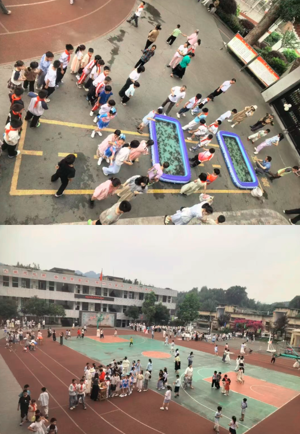 1780387949158546.png QQ_1780387340393.png