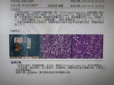 1781680217814201.jpg 08.jpg
