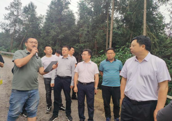 QQ_1782901393640.png