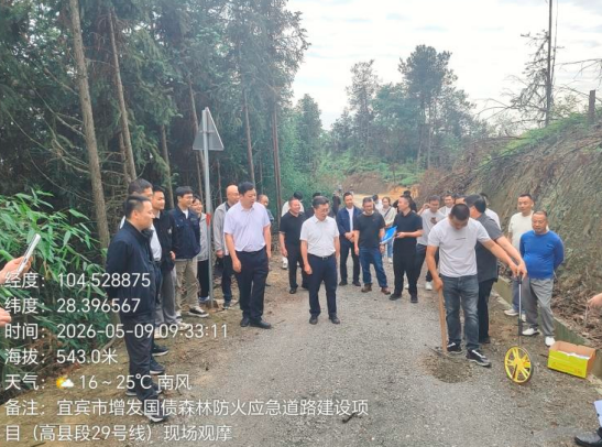 QQ_1782901385443.png