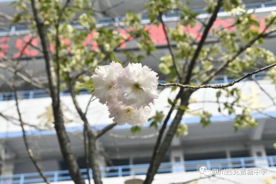 07.jpg