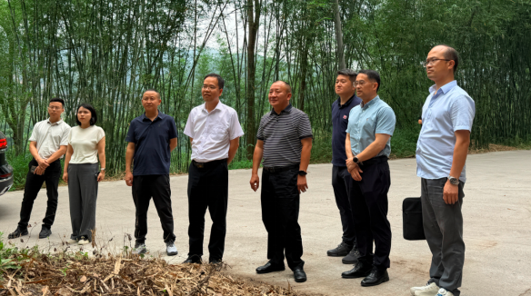 QQ_1787300933026.png
